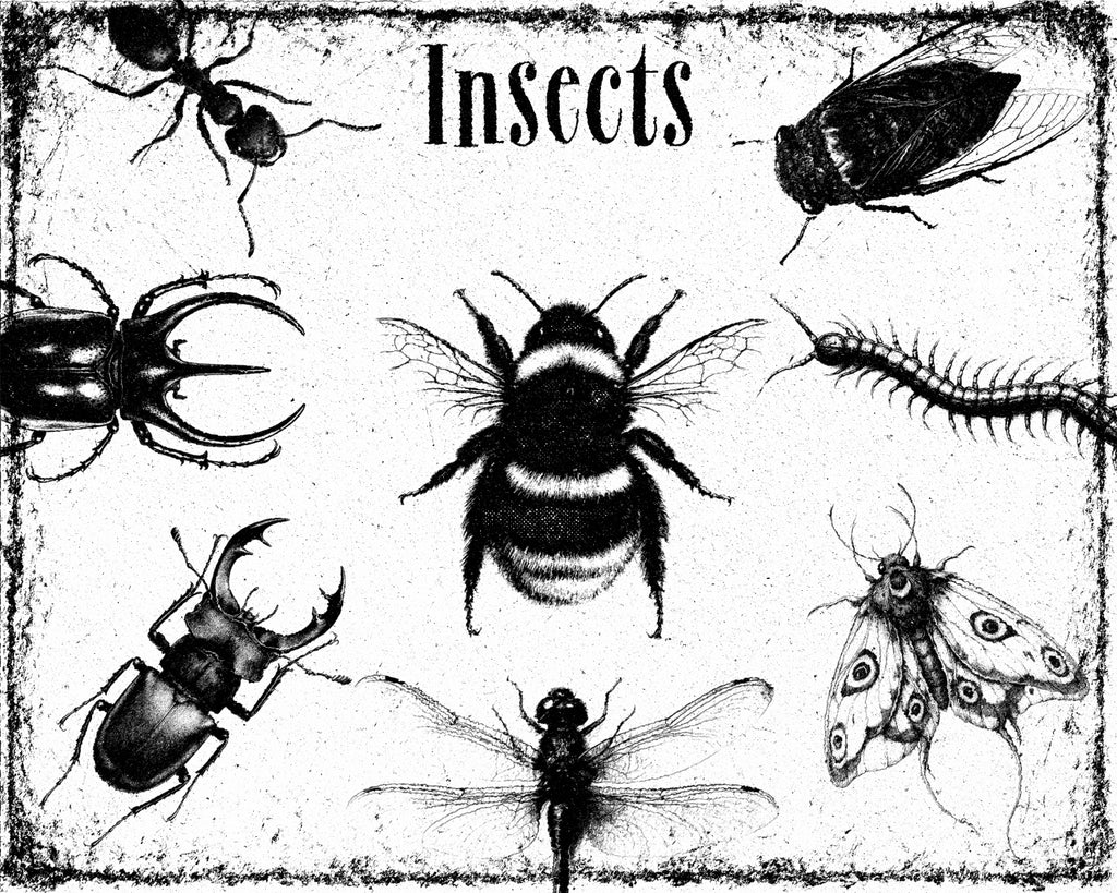 StencilMix Graphics Pack