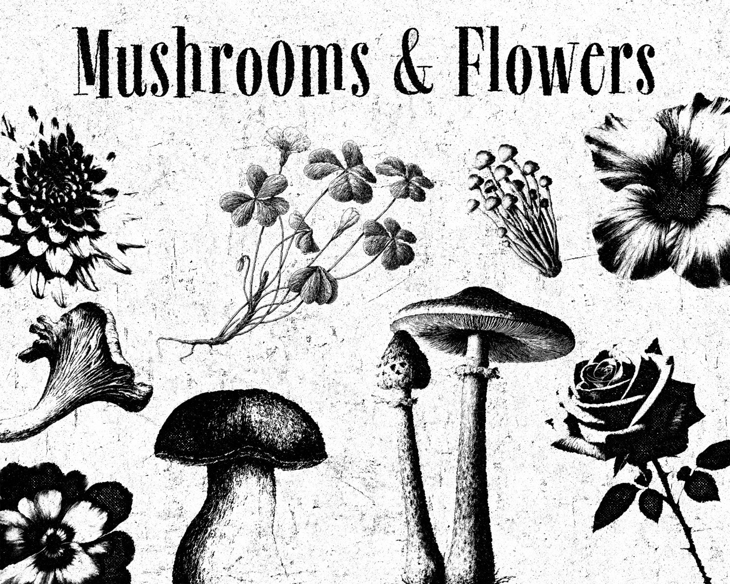 StencilMix Graphics Pack